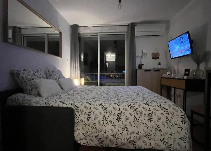 Appartement Lumineux Au Coeur Du Cap D Agde